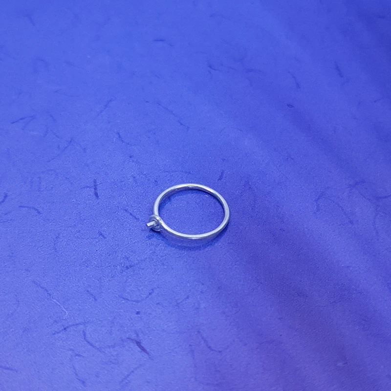 Silver Plain Noth